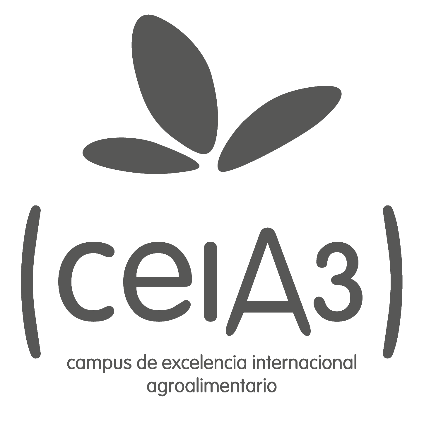 Universidad de Córdoba